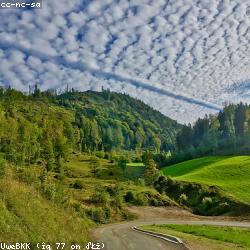 Fields and forest